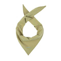 Pañuelo Deportivo PeaceShell™ Ice Bandana Cedar Unisex