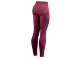 Leggings Compressport WINTER RUN Amaranth Mujer